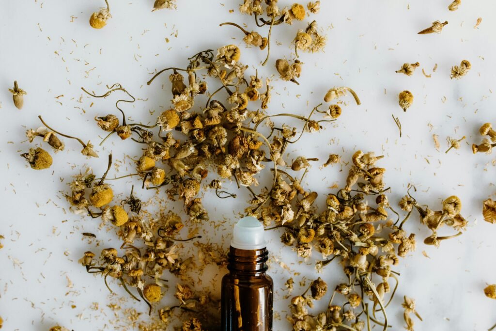 Aromatic dried chamomile flowers scattered around a minimalistic essential oil bottle.